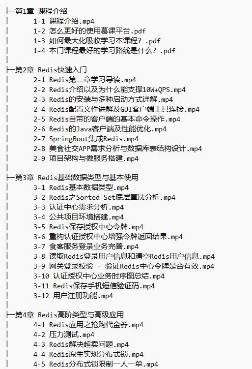 高级Redis进阶课 解决Redis实际问题+掌握Redis6.x特性 视频教程 下载  图1