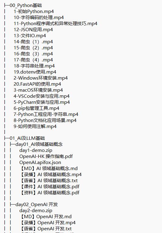 AI大模型视频教程 下载 图1