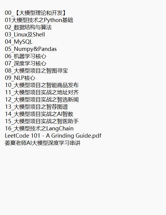 AI大模型系列 视频教程 下载 图1