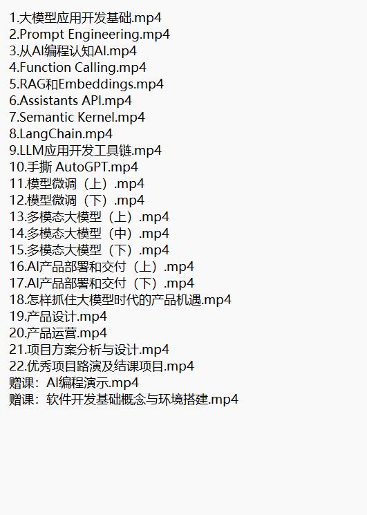 AI大模型入门 视频教程 下载  图1